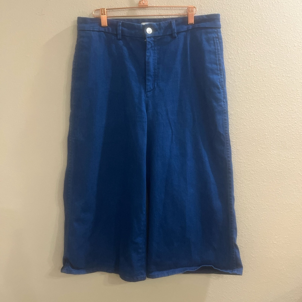 Zara Woman’s 8 Cropped Wide Leg Blue Pants